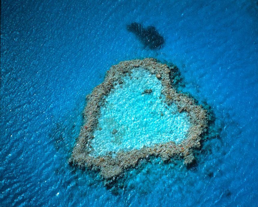 جزایر مرجانی و دنیای زیر آب کوئینزلند استرالیا