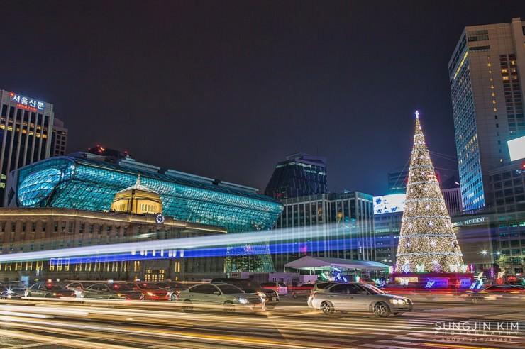 بهترین درختان کریسمس