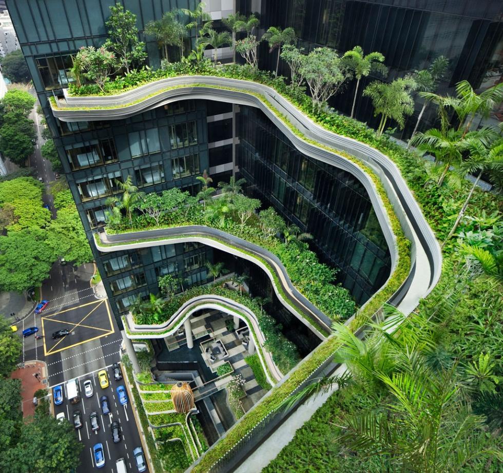 باغ آسمان شگفت انگیز در سنگاپور
