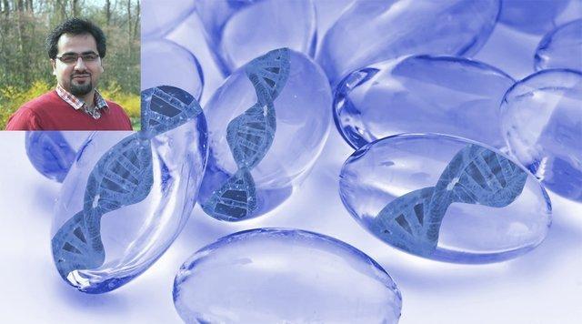 ابداع هیدروژل DNA برای کاربردهای زیست پزشکی