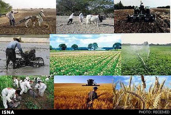 بیش از 81 هزار خانوار در خوزستان تحت پوشش بیمه اجتماعی روستاییان هستند