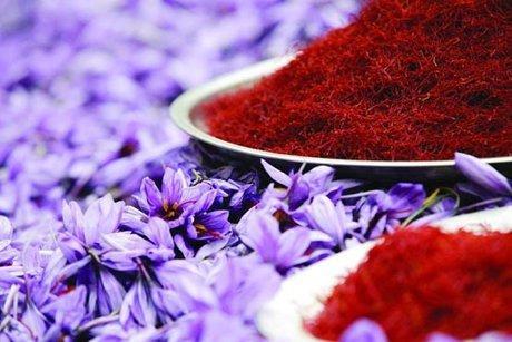 عنوان بزرگترین صادرکننده زعفران از آن افغانستانی ها می گردد