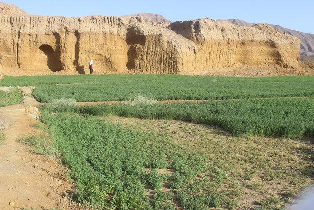 باستان شناسان طبسی ها را به دوره مفرغ نسبت می دهند
