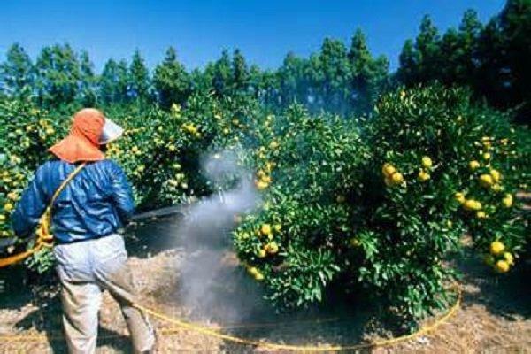 دولت از ورود سموم مشابه داخلی ممانعت کند، نتوانستیم ارز بگیریم