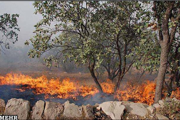 20 هکتار از مزارع گندم شهرستان شازند طعمه حریق شد