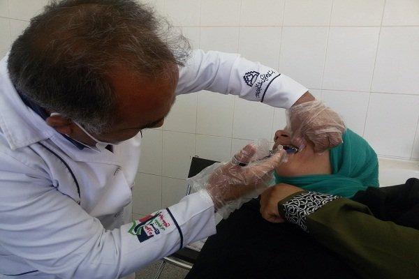 ارائه طرح درمان های جدید ریشه دندان