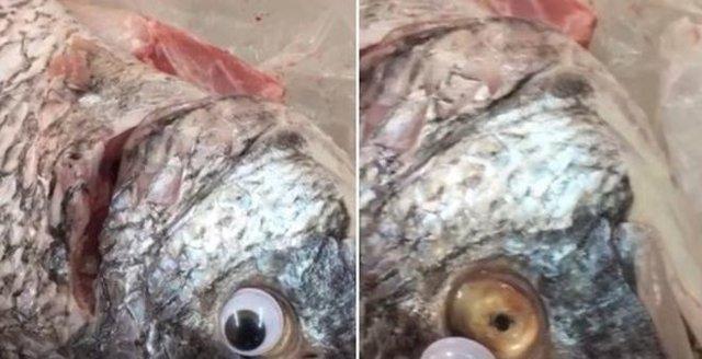 تعطیلی ماهی فروشی در کویت به خاطر کلاهبرداری تبلیغاتی