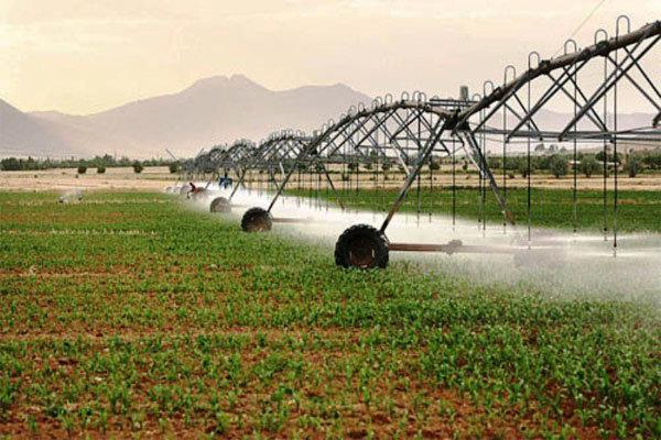 راندمان آبیاری در بخش کشاورزی کشور به 44 درصد رسیده است