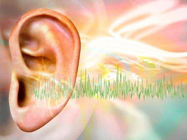 کشف نورون های جدید برای درمان وزوز گوش