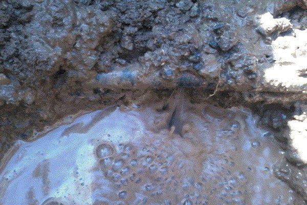 هدر رفت 32 درصدی آب در بیرجند، مدیریت مصرف جدی گرفته شود