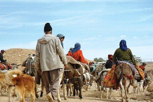کوچ 3300 خانوار عشایر به مناطق قشلاقی در استان بوشهر