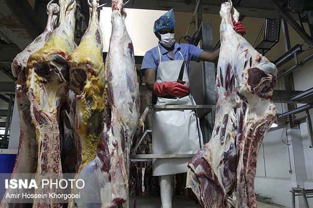 بی مهری به دام مولد از علل گران شدن قیمت گوشت در خراسان شمالی