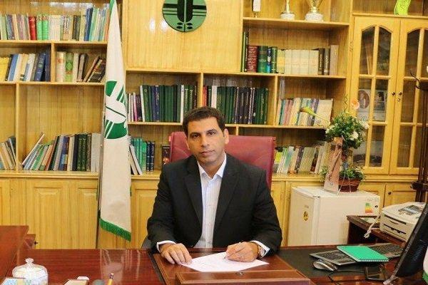 سلامت اکولوژیکی رودخانه های فصلی نیکشهر مورد آنالیز نهاده شد
