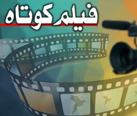 تشریح به جشنواره فیلم کوتاه تهران راه یافت