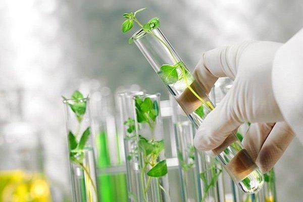 فعالیت 15 واحد فناور در مرکز رشد گیاهان دارویی اردبیل