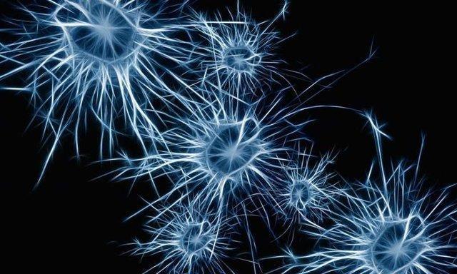 تبدیل سلول های مغز به نورون های سازنده با ژن درمانی نوین