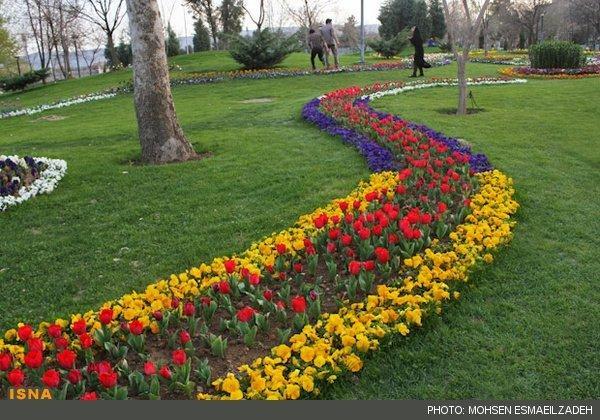 آماده باش تمام ادارات فضای سبز شهر تهران در پی شرایط بحرانی هوا