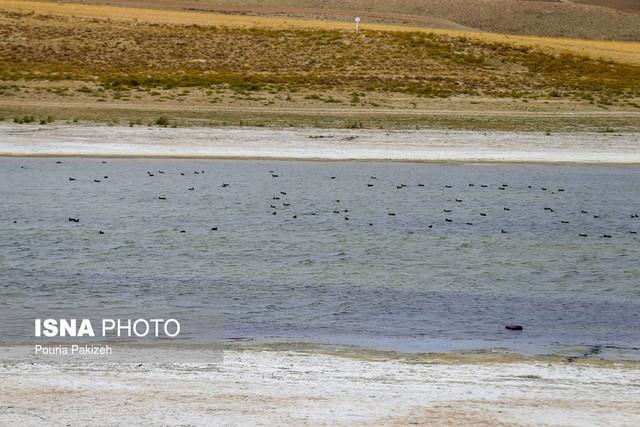 کاهش 50 درصد آب های شیرین دنیا