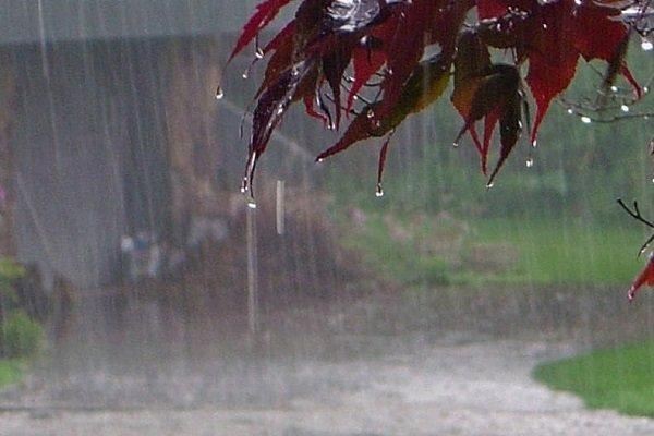 نفوذ سامانه بارشی به استان بوشهر، بارندگی هفته آینده شدت می گیرد