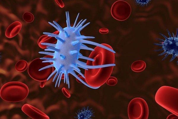 تاموکسیفن موجب پیشگیری از سرطان سینه می شود تاموکسیفن موجب پیشگیری از سرطان سینه می گردد
