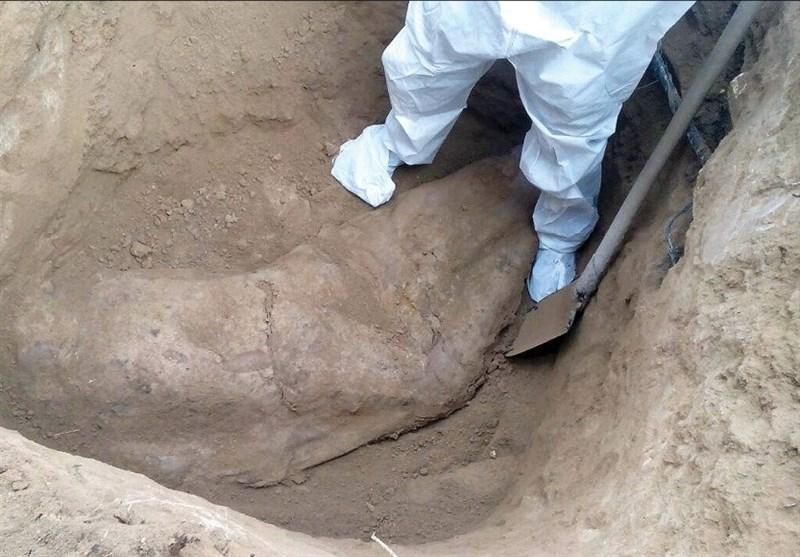 جسد زن 57 ساله از باغچه منزلش در مشهد کشف شد