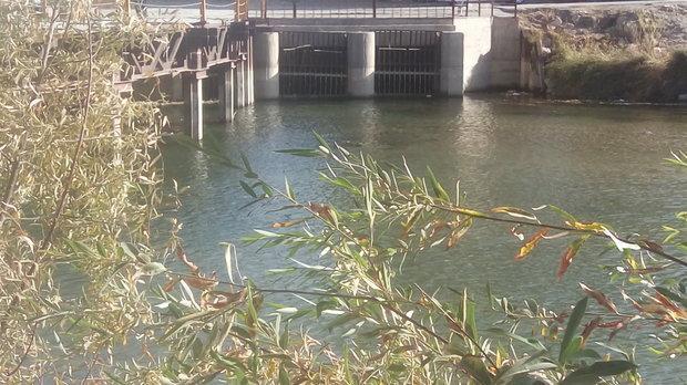 زاینده رود تا اوایل بهمن برای کشت پاییزه کشاورزان باز می گردد