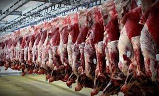 114 تن گوشت گوسفند وارداتی در چهارمحال و بختیاری توزیع شد