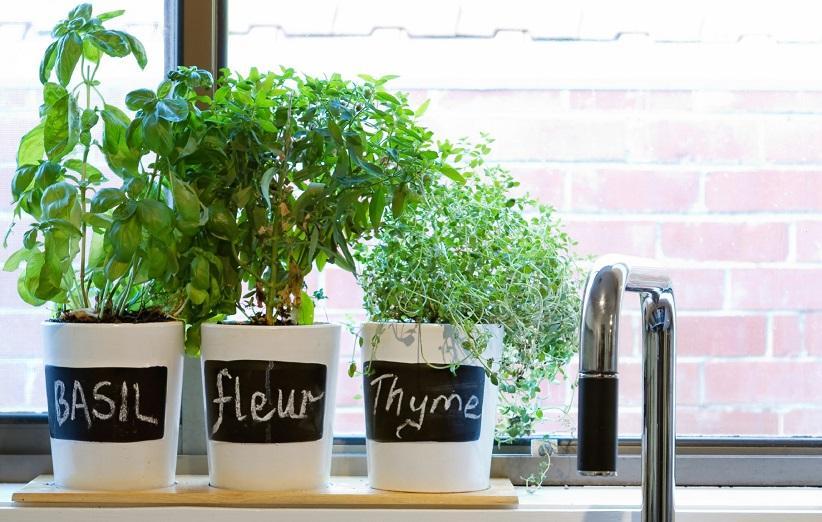 9 سبزی خوردن که می توانید به راحتی در خانه پرورش دهید