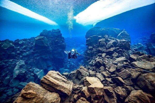 برترین عکس های دنیای زیر آب در سال 2018 را تماشا کنید