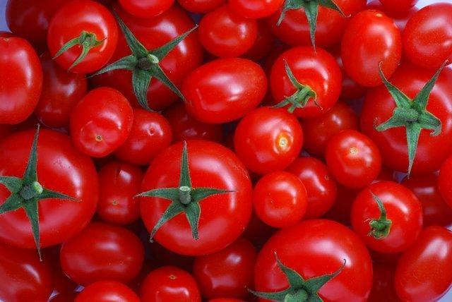 صادرات گوجه فرنگی و محصولات آن آزاد شد