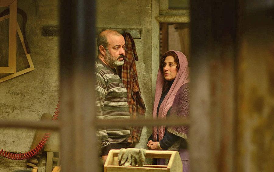 بنفشه آفریقایی ، یک مرد، یک زن، یک مرد