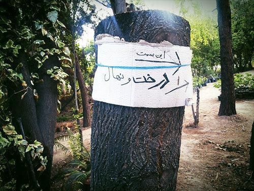 این جا چه خبر است؟