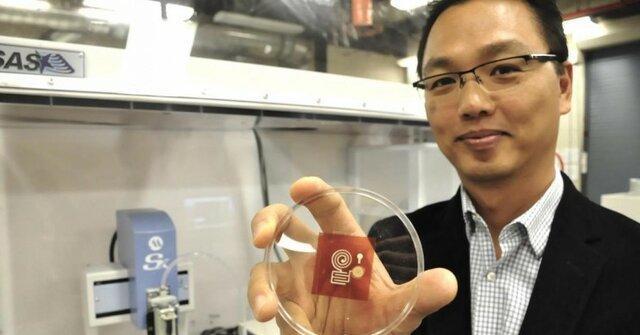 چوب به جای پلاستیک در حسگرهای هوشمند