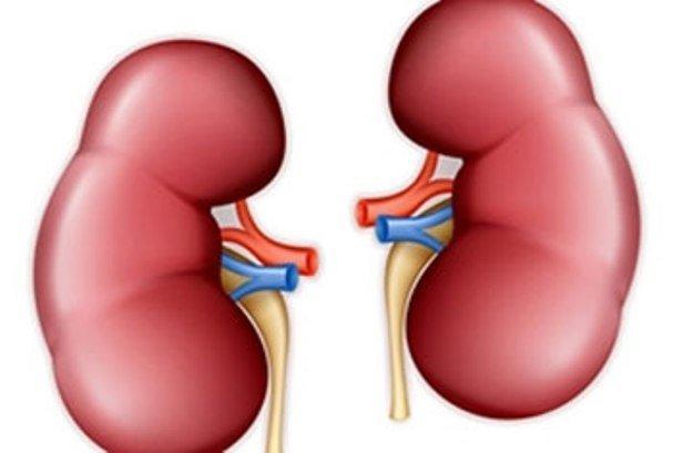 ارتباط داروی سوزش معده با بیماری کلیوی