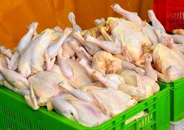 عرضه مرغ 11 هزار و 500 تومانی تا خاتمه نوروز ادامه دارد