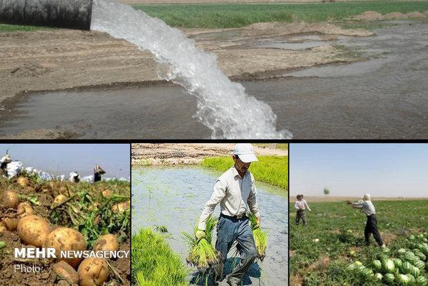 اجاره نشین های خوش نشین، کشاورزان مهاجر بلای جان منابع آبی شدند