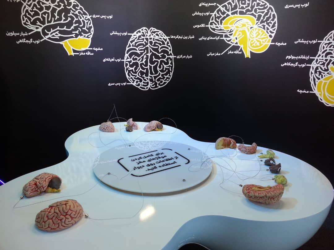 تاب آوری اجتماعی با علوم شناختی افزایش می یابد