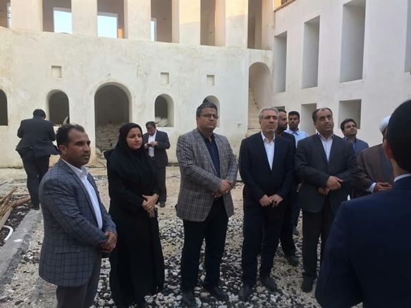 رئیس سازمان میراث فرهنگی از قلعه نصوری و دستکندهای سیراف بازدید کرد