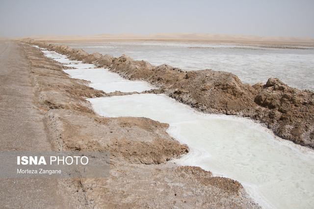 دانیالی: وضعیت گاوخونی وخیم است، از پول واجب تر، حق آبه محیط زیست را می خواهیم