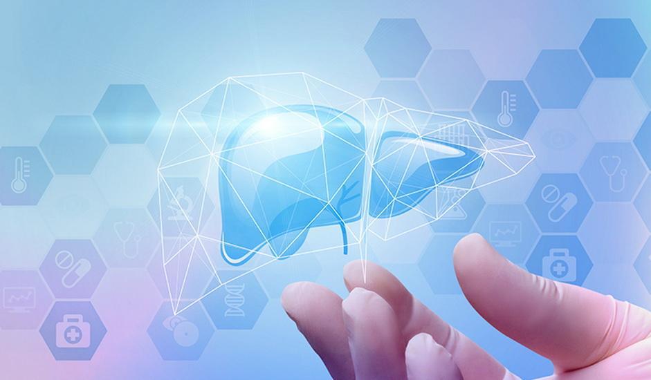 بازسازی کبد و قلب در ایران