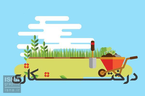 موشن گرافی ، برای کاشت نهال این نکات را رعایت کنید