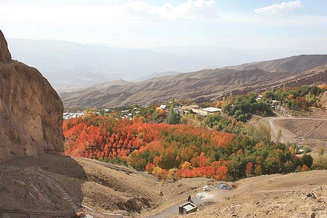 به تاراج رفتن بخشی از جنگل های مناطق الموت قزوین