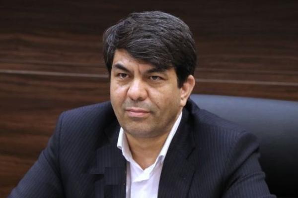 زمینه درخشش استعدادهای هنری یزد در دنیا فراهم گردد
