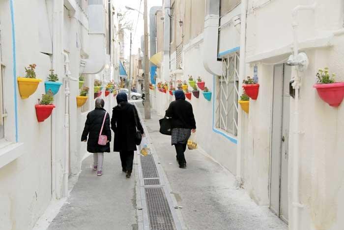 شمعدانی ها به کوچه امید آمدند