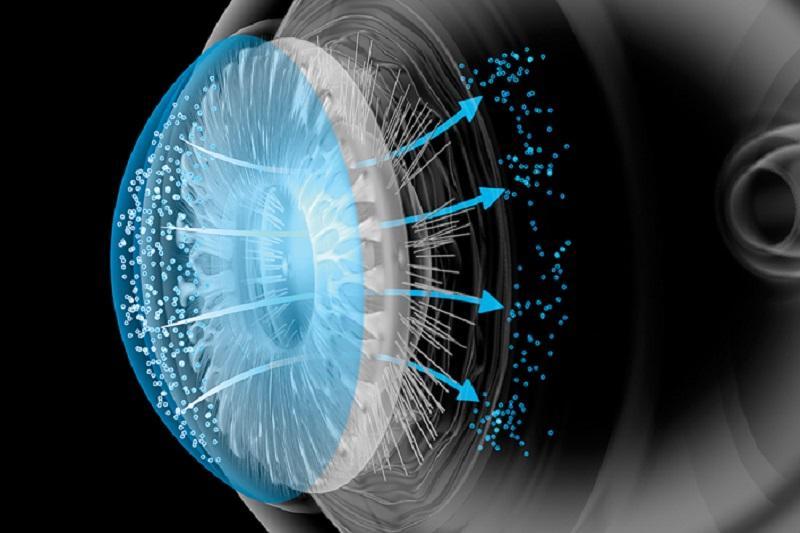 بازیابی ژنتیک بینایی برای اولین بار در دنیا