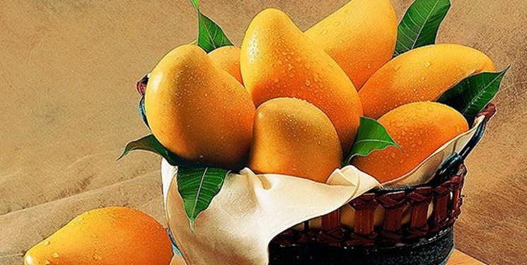 کاهش سطح کلسترول با مصرف انبه