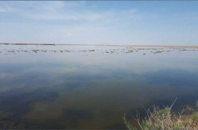 آبگیری 98 درصد تالاب بندعلیخان در دشت ورامین