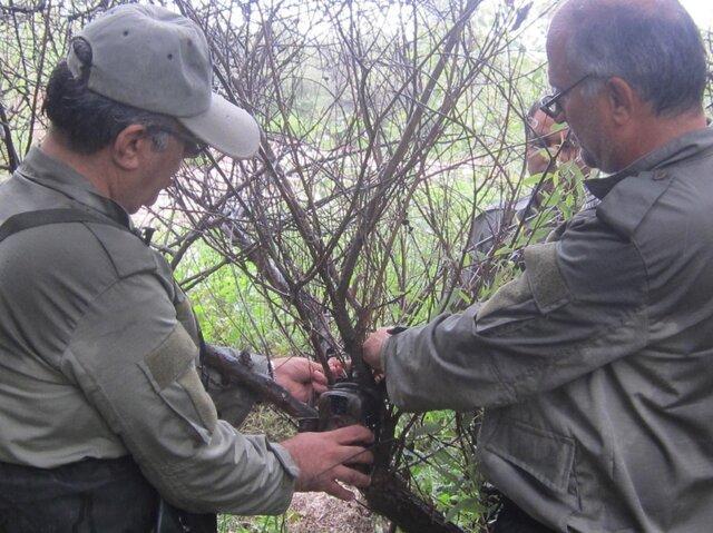 مشاهده ردپای گوزن های گمشده در پارک ملی دز