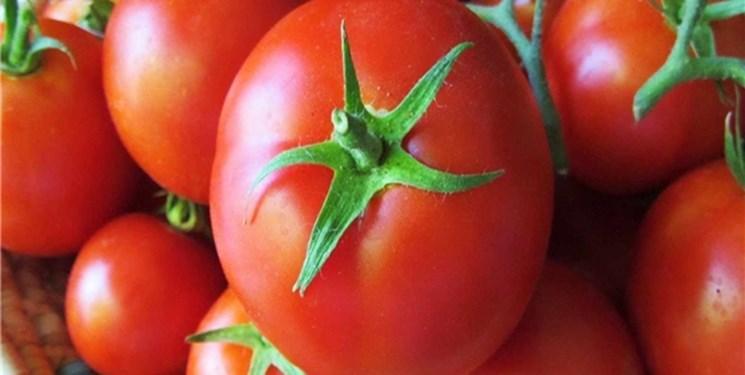 گوجه فرنگی از پوکی استخوان جلوگیری می نماید