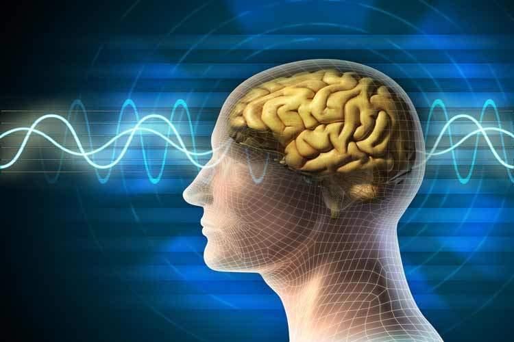 مغز انسان به اینترنت ابررایانه ها متصل می شود مغز انسان به اینترنت ابررایانه ها متصل می شود